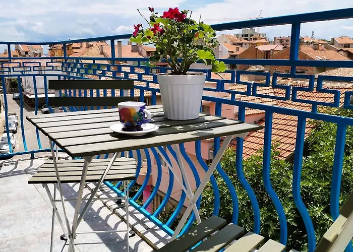 Lira Sto * 帕莫瑞